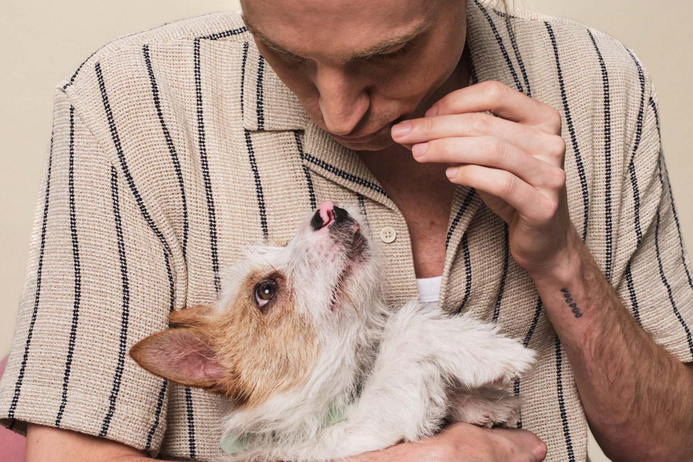 Man feeding a Dog a treat
